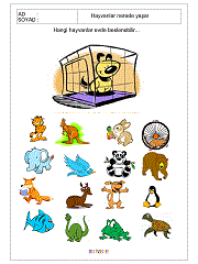 Hayvanlar Nerede Yaşarlar